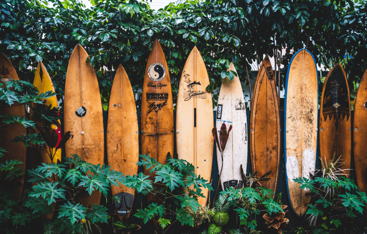 No alternative text provided