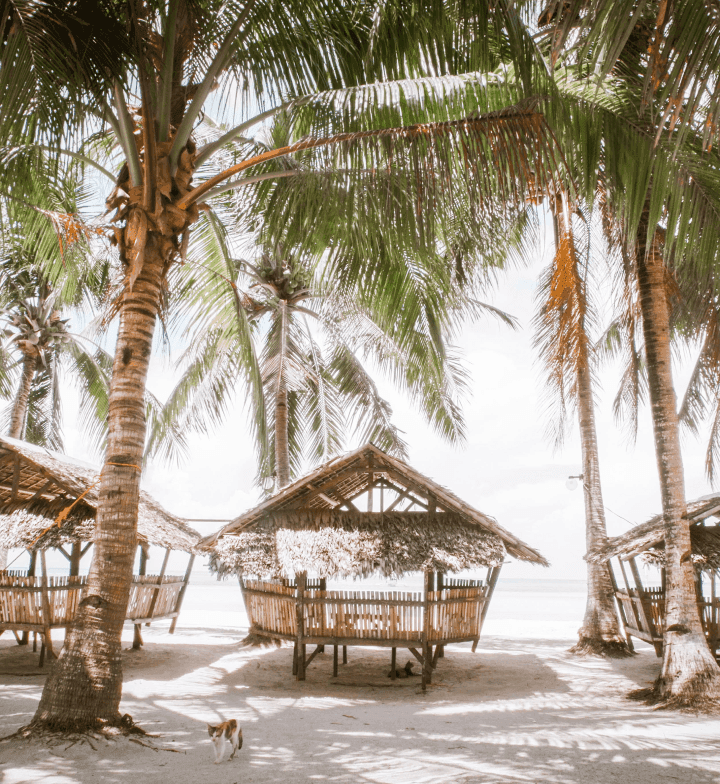 No alternative text provided